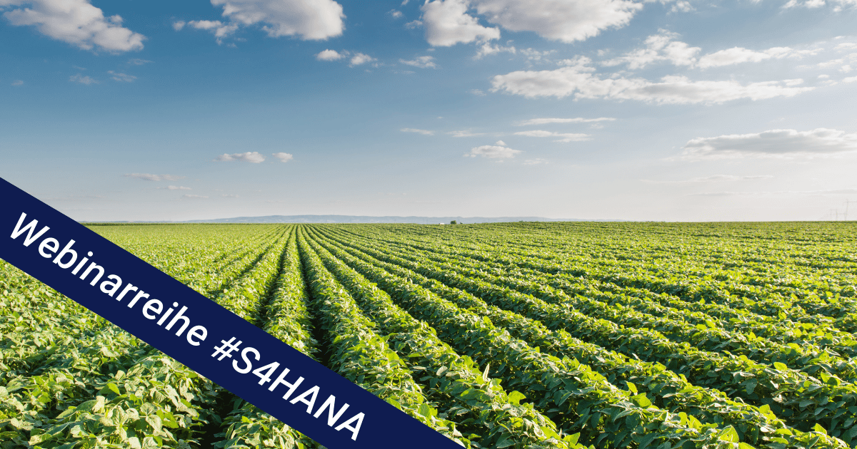 6_Webinarreihe_#S4HANA-Transition_HS-SoMe_Vorschau-1200x600