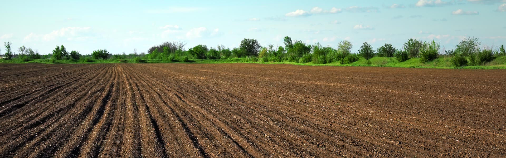 BROWNFIELD_sap-s4hana-transition