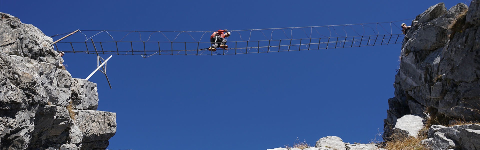 HubSpot-TYP-it-dmgsuite