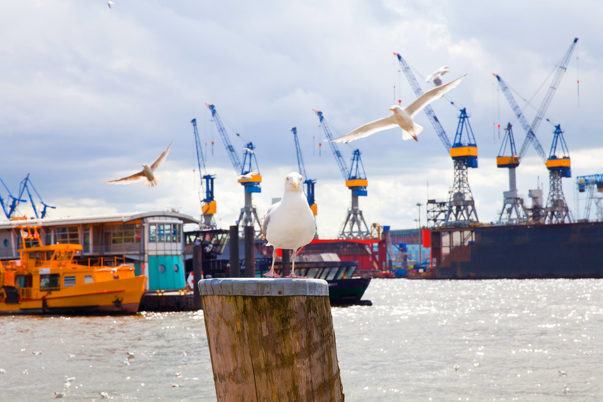 Full-Size_Image Picture Hamburg Harbour 2018 GLO EN