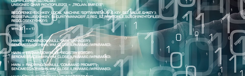 HS-LP-Webinar-Custom-Code-960x300 HS-LP-Webinar-Custom-Code-960x300