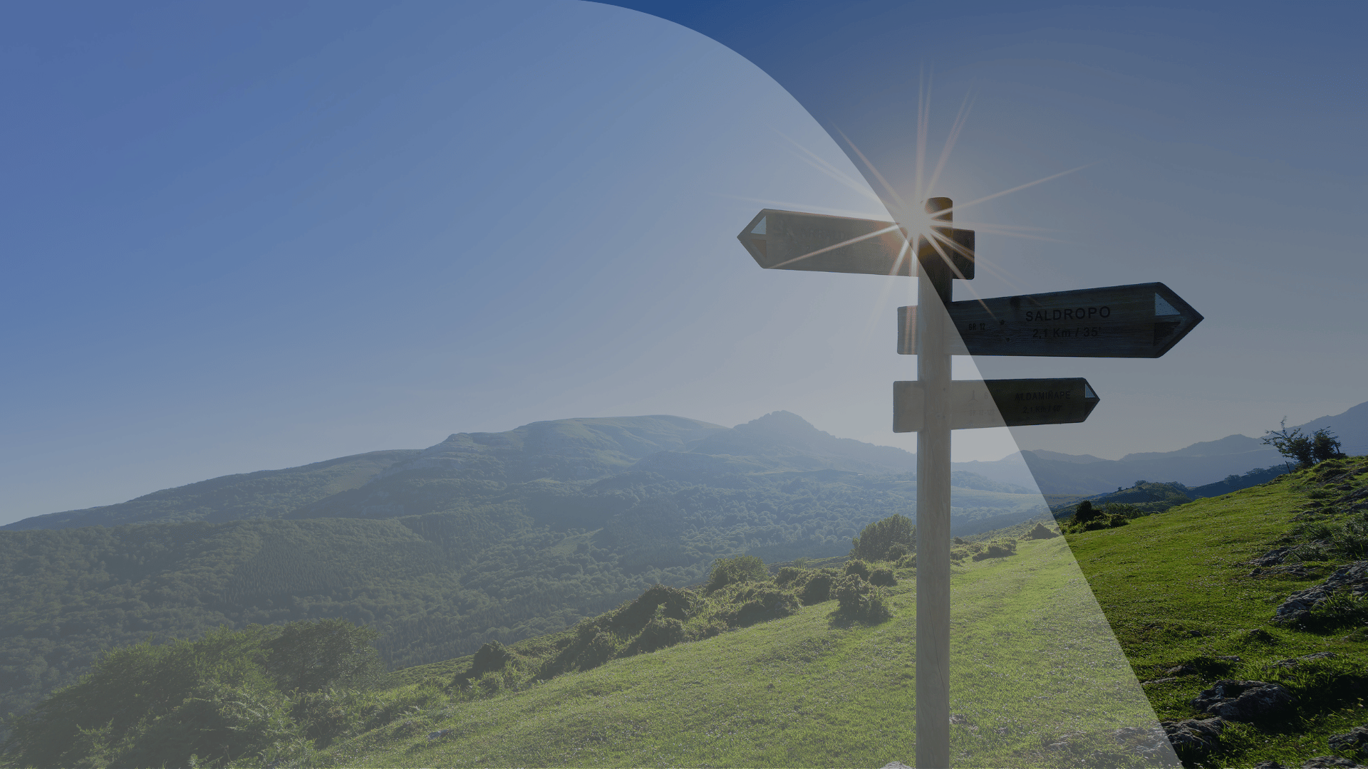 Header Dynamics vs. SAP