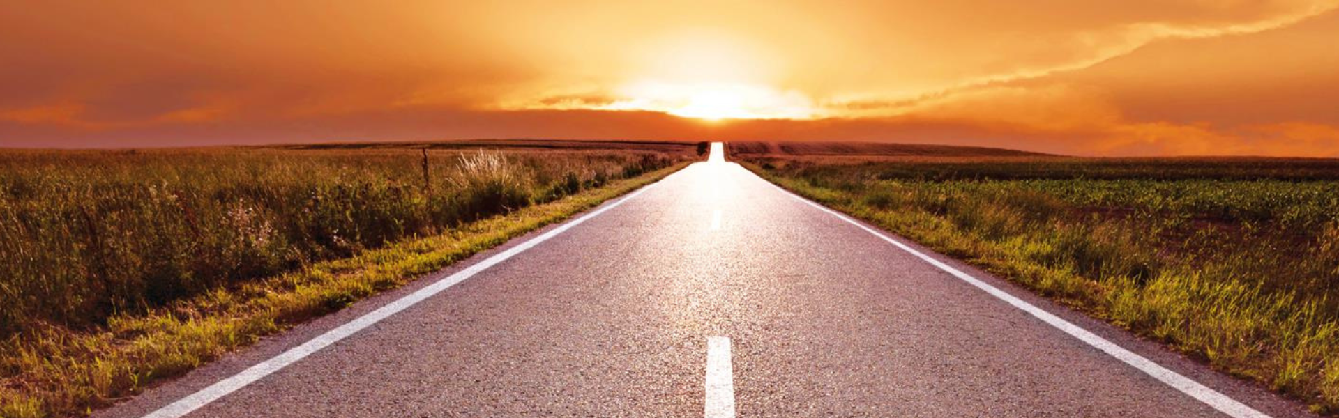 Rise with SAP Header_1920 x 600