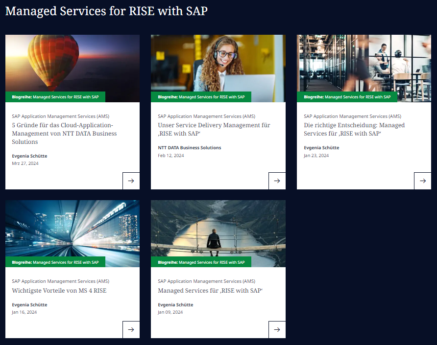 Blogreihe_Managed Services for RISE