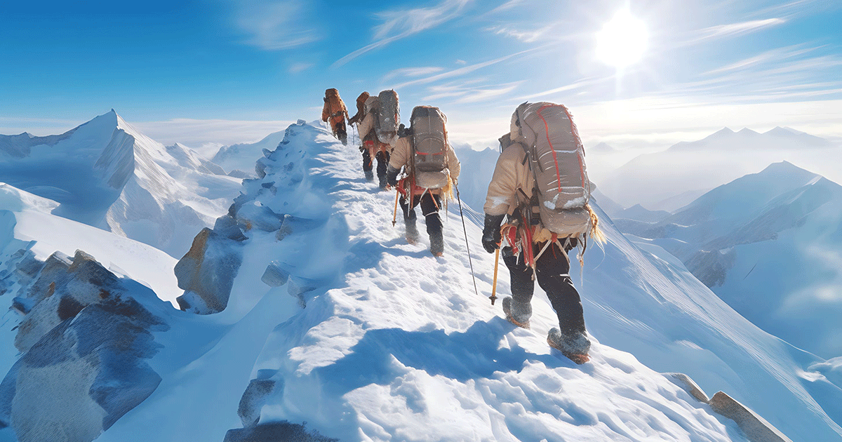 E-Book Procurement 2025+