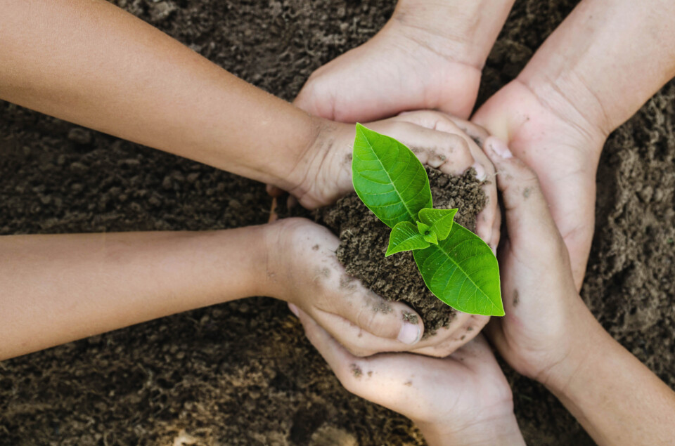 Text-Images-Slider_Image-picture-hands-hold-growing-plant-20190117-GLO-EN